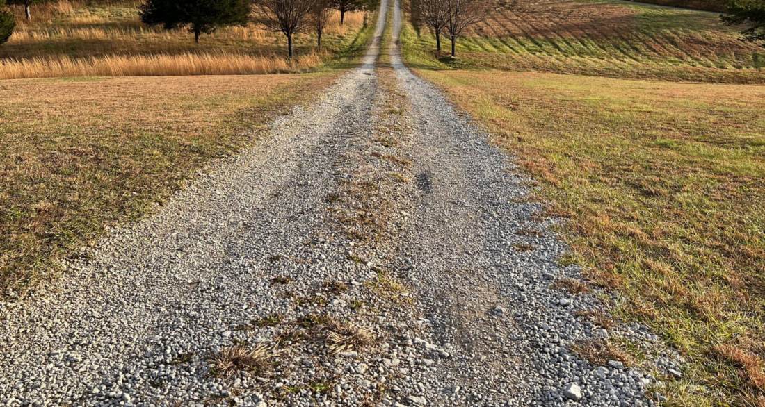 Licensed stock photograph: a gravel drive running away through mown grass.