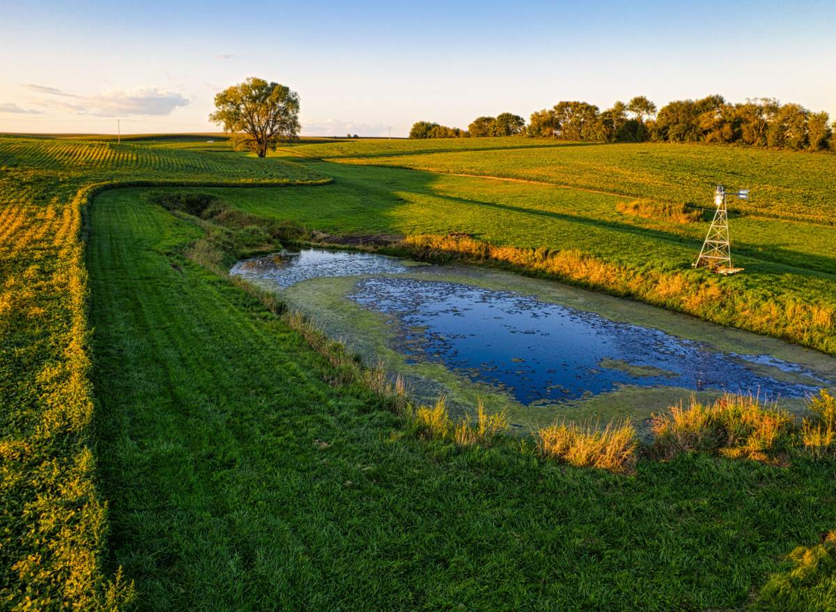 Licensed stock photograph: a farm pond sitting in cropped and mown ground at sunset.